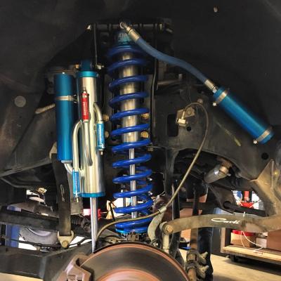 Carli Ford Decimator 4.5
