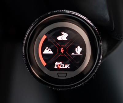 Carli Ford E-Venture Shock Package (CS-FEV25SPKG-45-17)